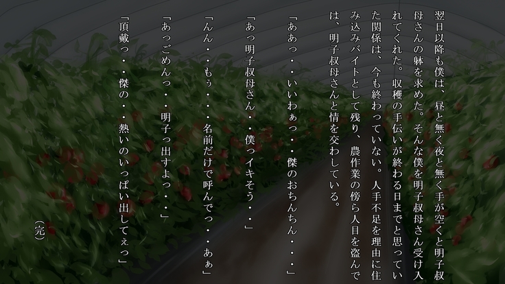Akiko, Tomato Farmer