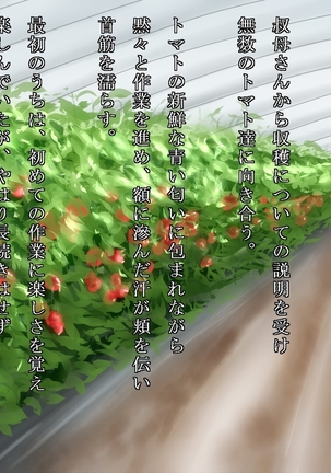 Akiko, Tomato Farmer Page #92