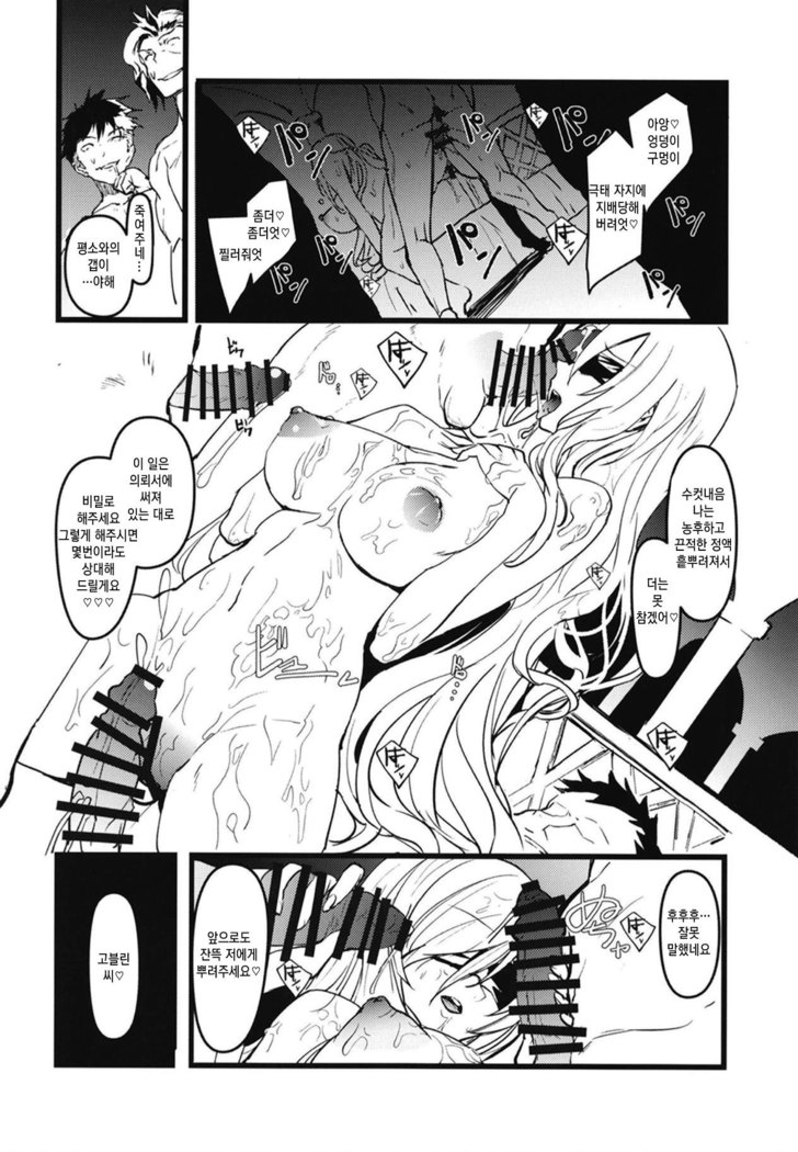 Dare mo Shiranai Tsurugi no Otome no Seiseikatsu
