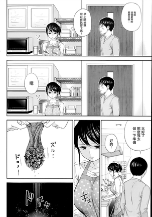 Netoraserare | 虛假的寢取 Ch.1-27 Page #166