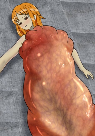 One Piece Marunomi Kyuushuu SEX Page #141