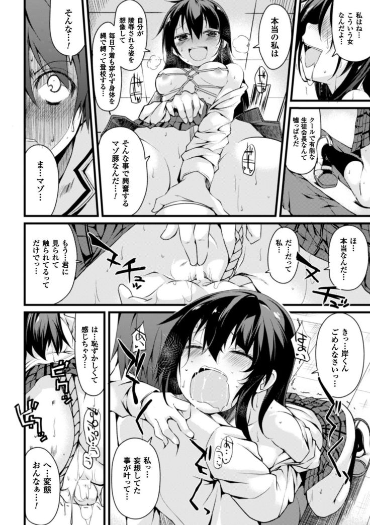 Cool Maso! Shitsukete Seitokaichou COMIC Edition