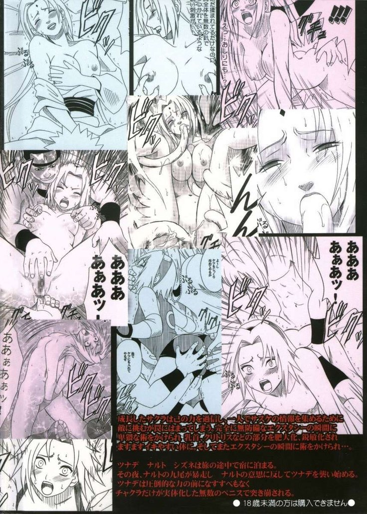 Uzumaki Hanataba 2