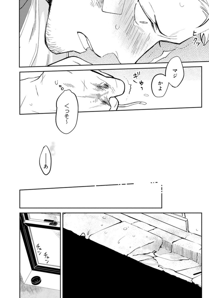 Midnight Rain