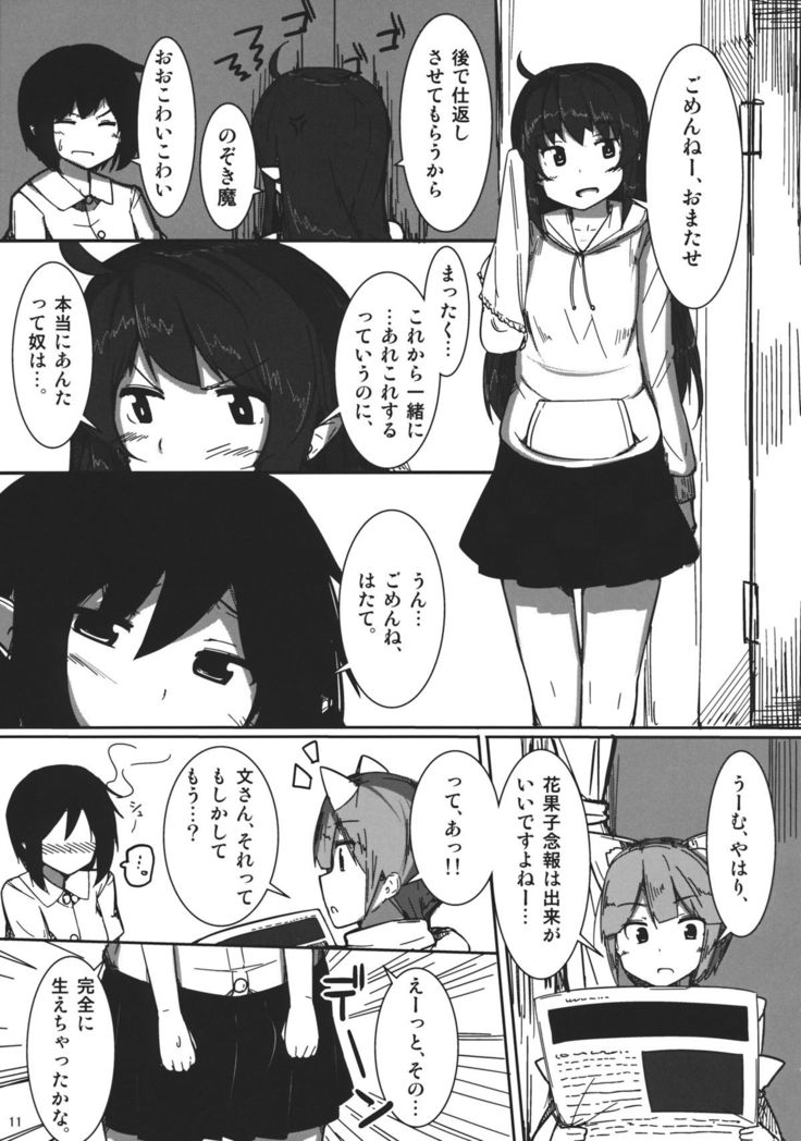 AYA x HATA STANDARD