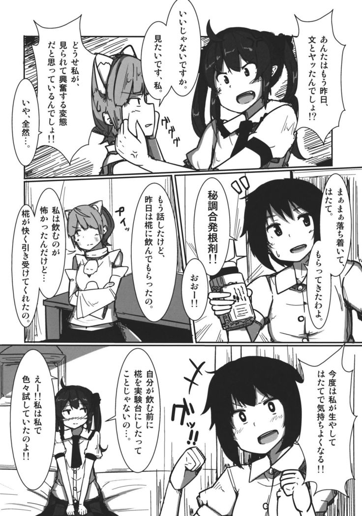 AYA x HATA STANDARD