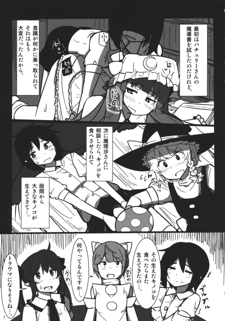 AYA x HATA STANDARD