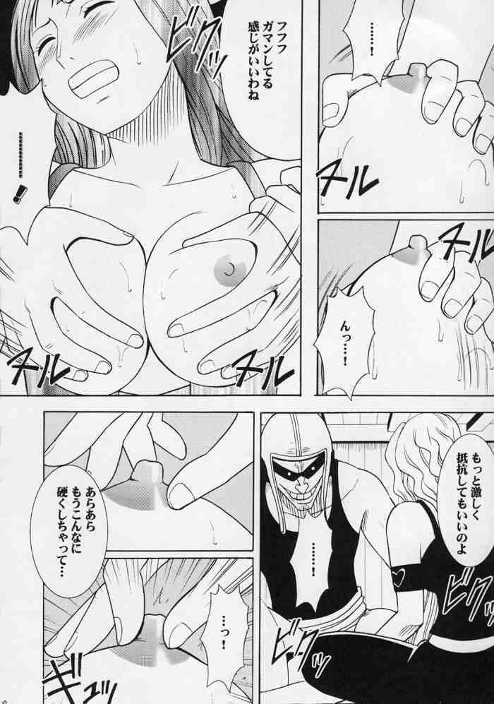 Hyakka Soushuuhen