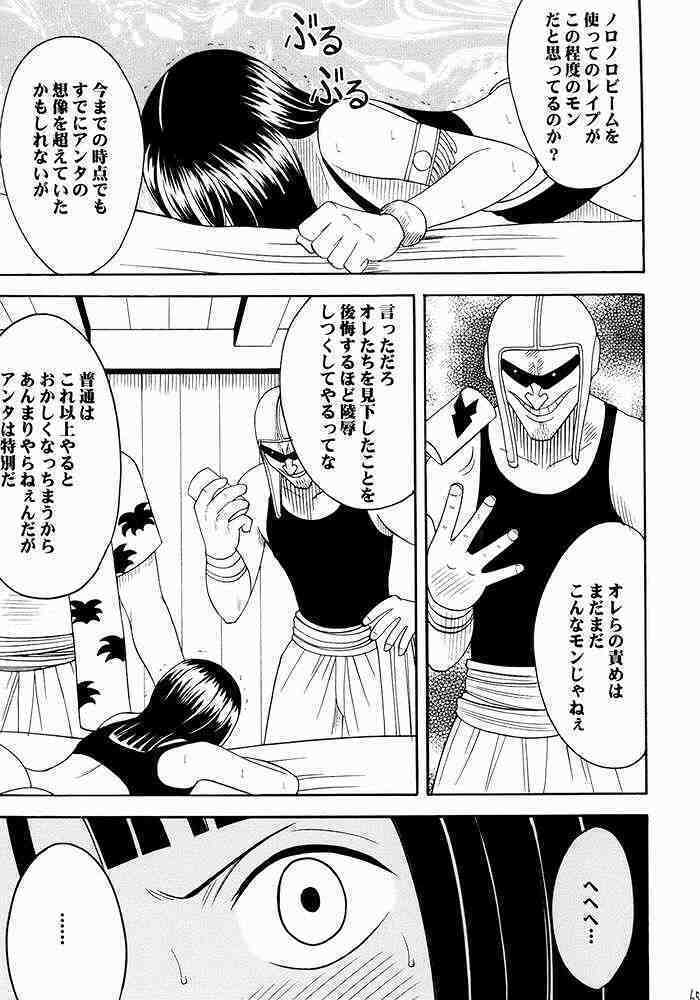 Hyakka Soushuuhen
