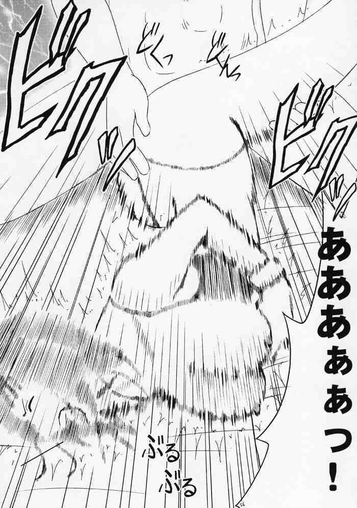 Hyakka Soushuuhen