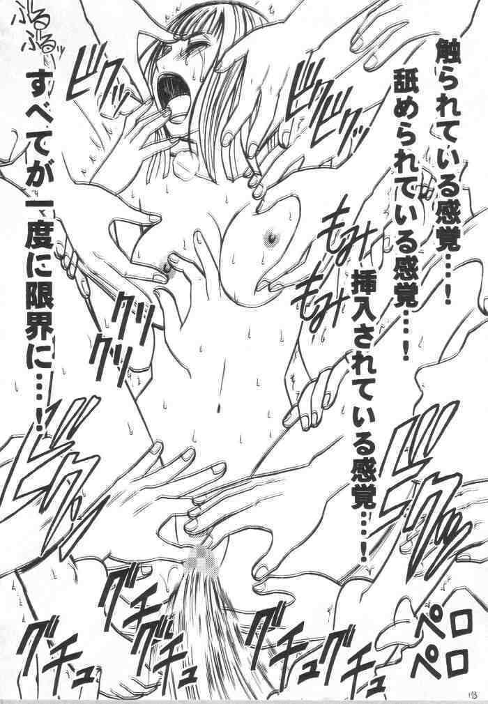 Hyakka Soushuuhen
