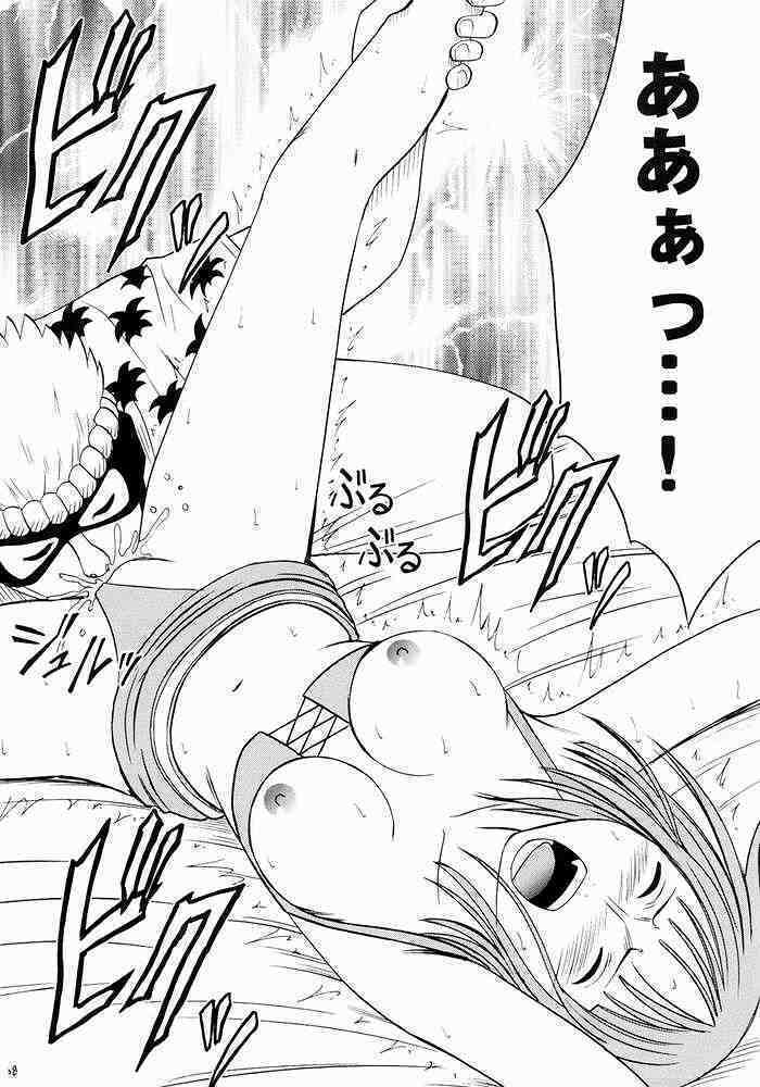 Hyakka Soushuuhen