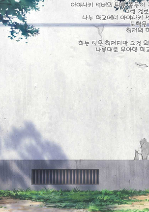 Image 3219946