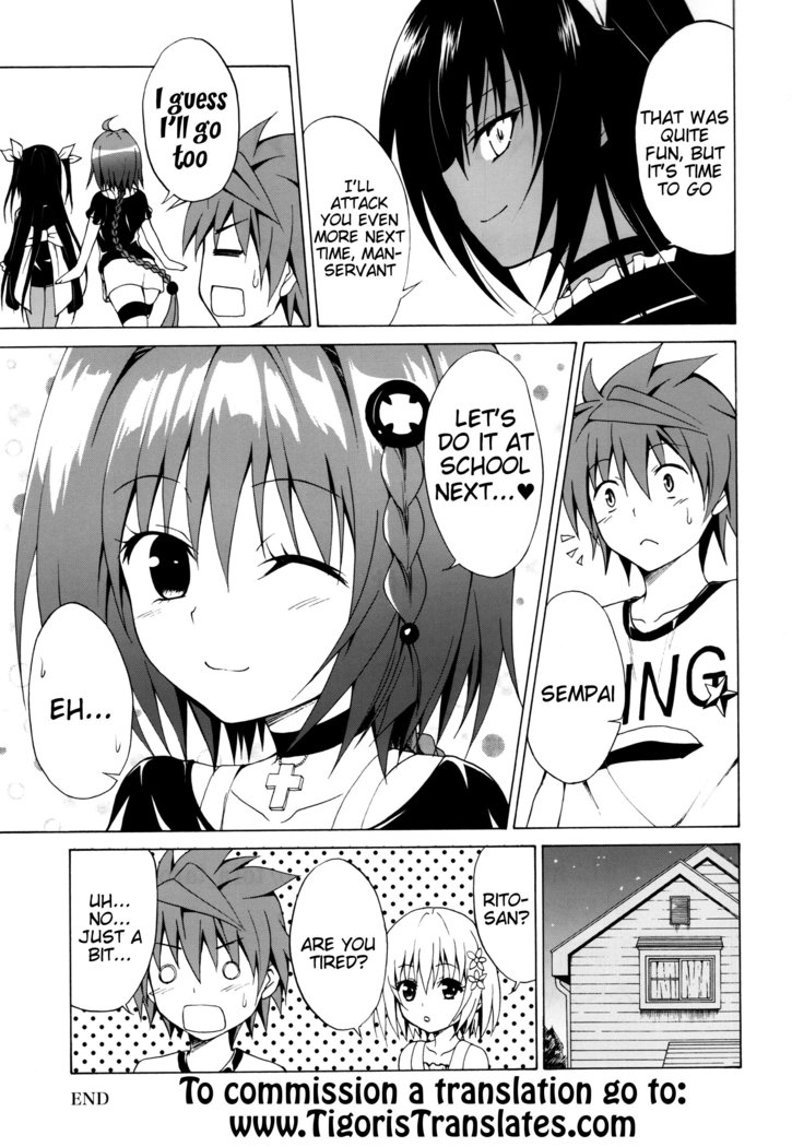 Trans H