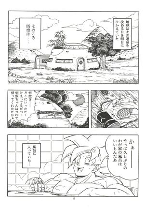 Dragonball H Maki Ichi Ni Saihan Page #17