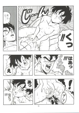 Dragonball H Maki Ichi Ni Saihan Page #55