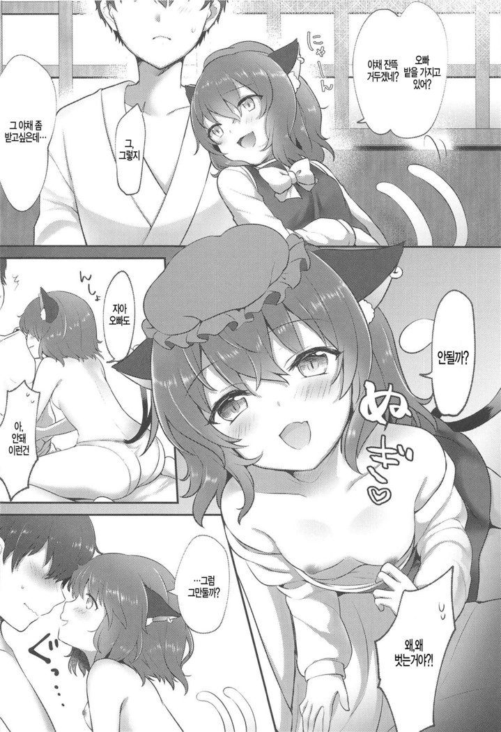Neko no Ongaeshi  ]Korean]