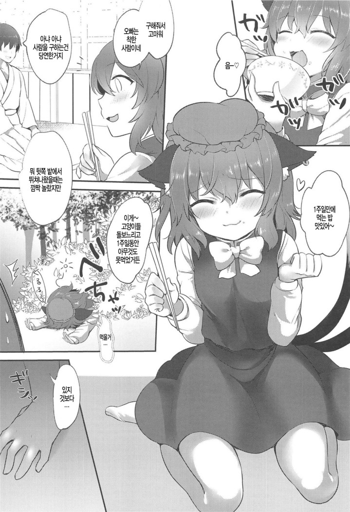 Neko no Ongaeshi  ]Korean]