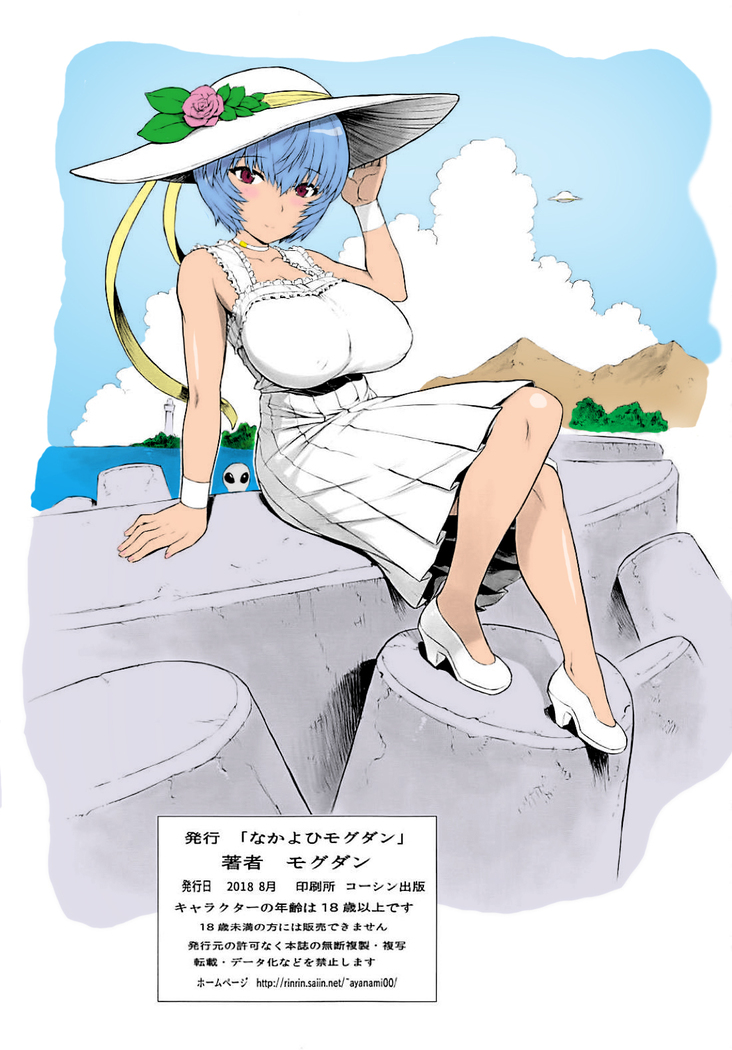 Ayanami Dai 9-kai Ayanami Nikki | Ayanami Chapter 9