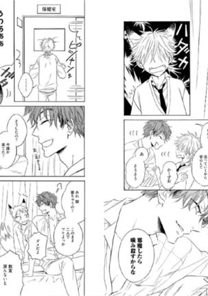 キツネさん、化かし愛しましょ！ 【電子限定特典付き】 Page #40