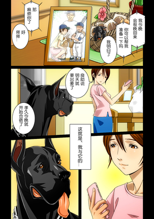 “Wonderful Life” ~Shufu to “Aiken” no Hisoyaka na Gogo~ - Page 42