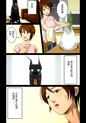 “Wonderful Life” ~Shufu to “Aiken” no Hisoyaka na Gogo~ - Page 13