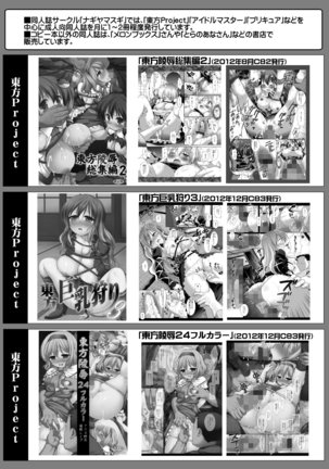 Touhou Ryoujoku 20 Alice Rinkan - Gangu-zeme Page #17