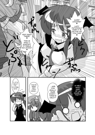 Touhou TS Monogatari ~Koakuma-Hen~ - Page 14