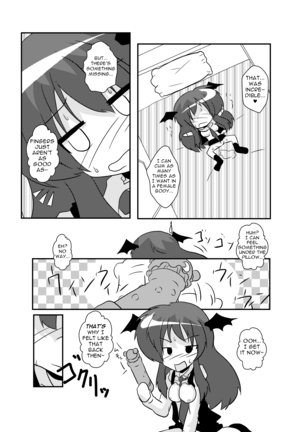 Touhou TS Monogatari ~Koakuma-Hen~ - Page 20