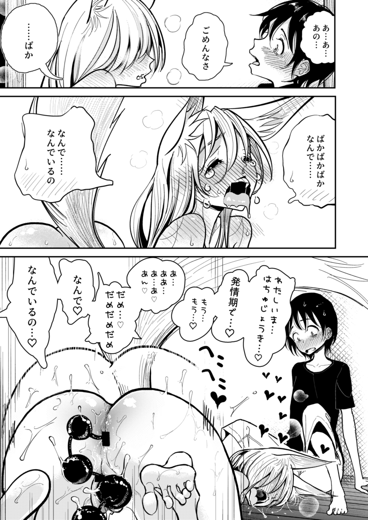 haduki sensei no hatujouki