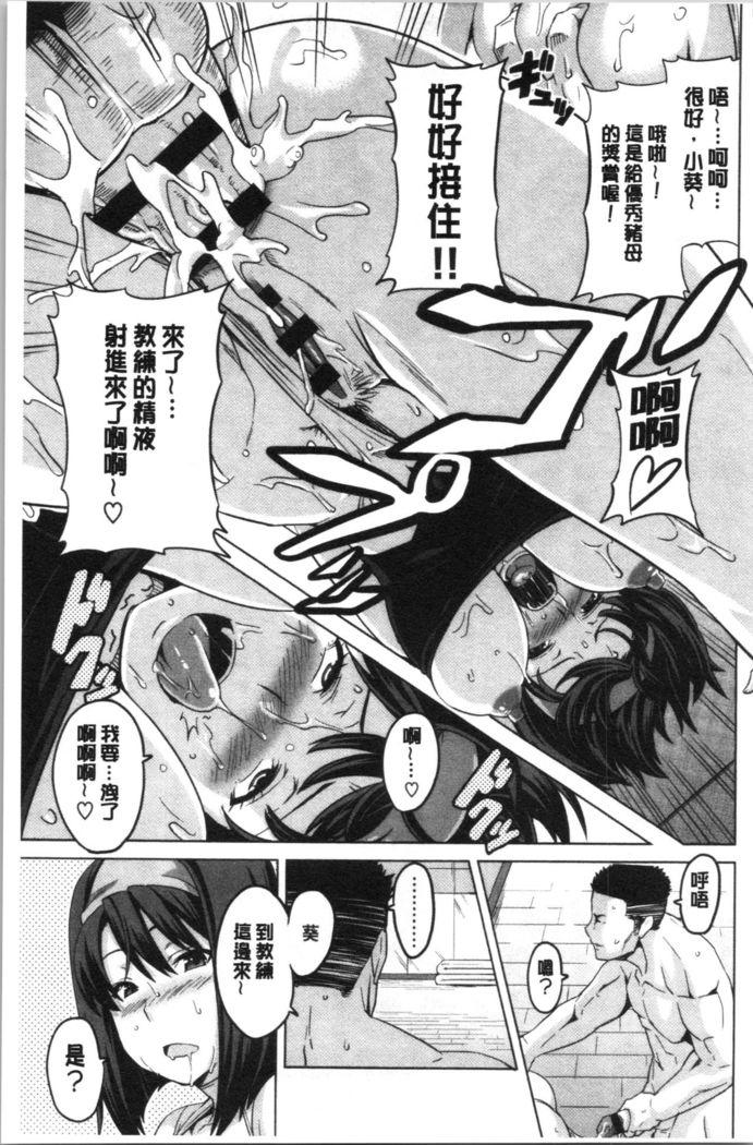 Tsundero Shinsouban | 傲嬌好色 新装版