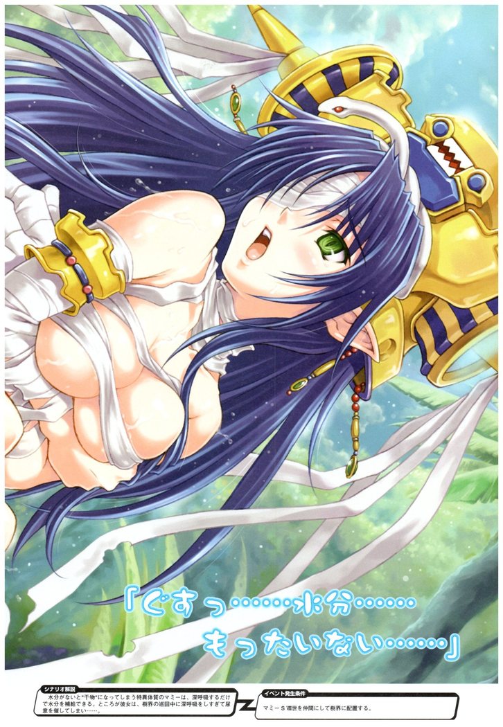 大番長 visual fan book