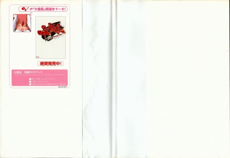 大番長 visual fan book