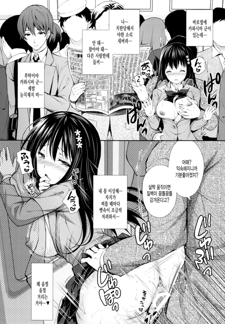 Chijoku no Chikan Densha ~Watashi, Sukina Hito no Soba de Chikan Saremashita~
