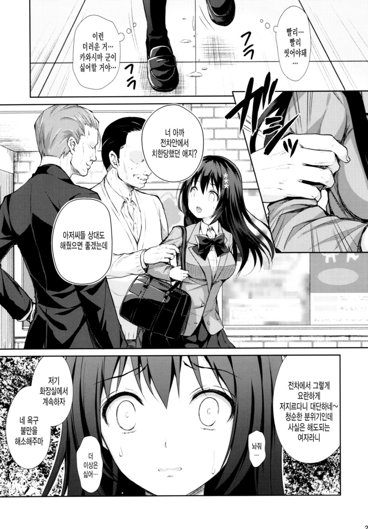 Chijoku no Chikan Densha ~Watashi, Sukina Hito no Soba de Chikan Saremashita~