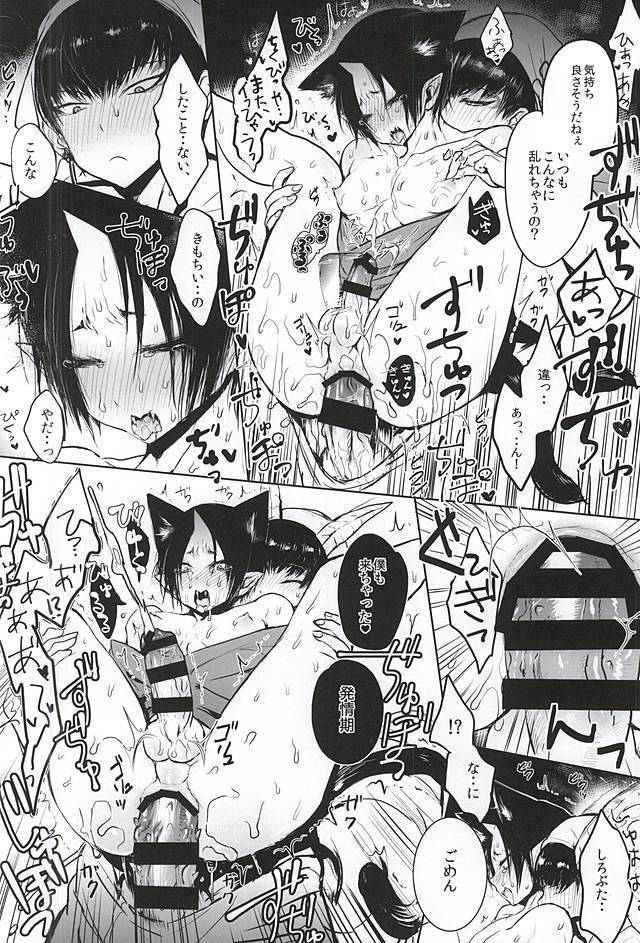 Nyanko Hosakan Hatsujouki