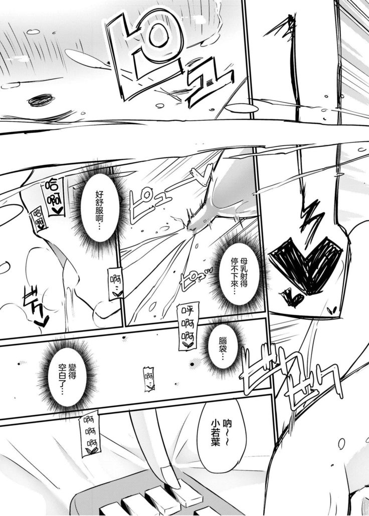 Zokubutsu.zip  Koineko