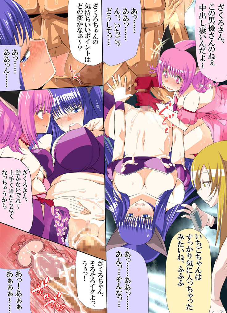 Tokyo ●ew mew fuji● zakuro to momo● ichigo o damashite AV satsuei