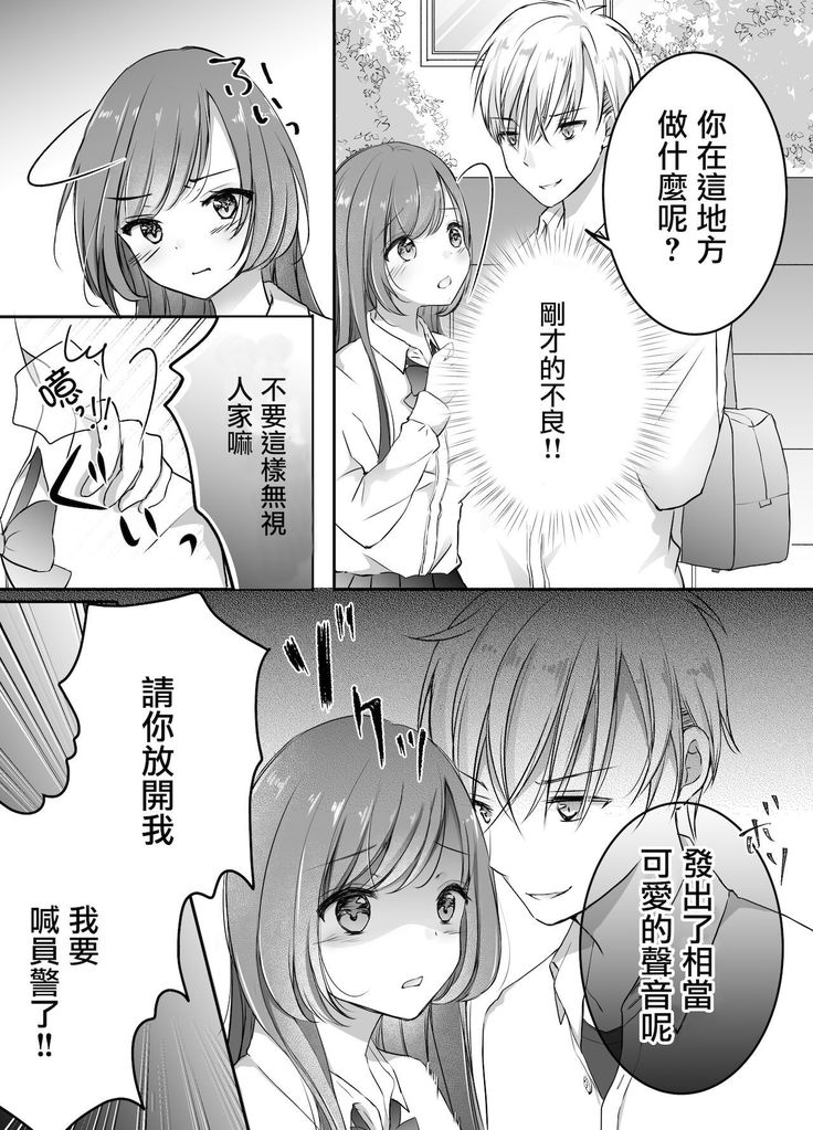 Netorase Keikaku ~Boku dake no Maria~
