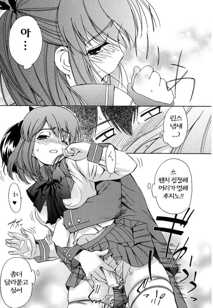 Hatsu Inu - Anfang Hund | 초 견