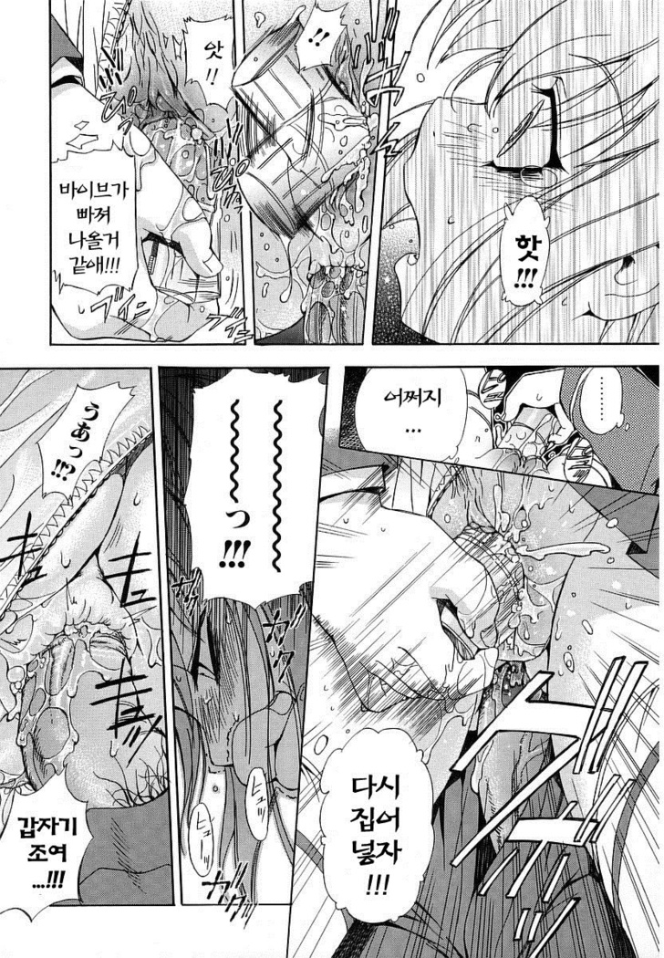 Hatsu Inu - Anfang Hund | 초 견