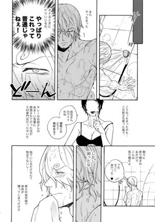 Image 11393349
