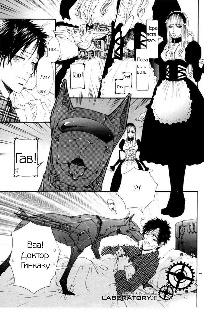Gingaku Hakase to Marmot