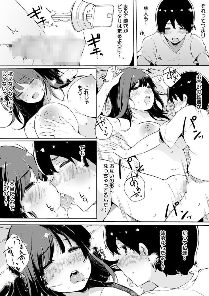 Otouto ni Ero Manga to Onaji Koto o Sarechau Onee-chan no Hanashi 3