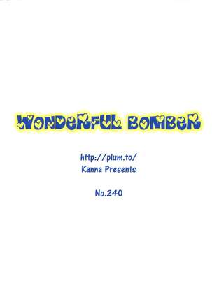 Wonderful Bomber Page #2