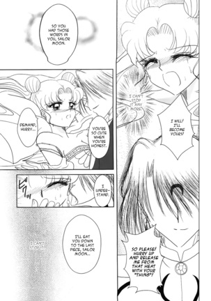 (C82) [MoE (Eiri)] Kuroi Tsuki ni Michibikare (Sailor Moon)english - Page 17