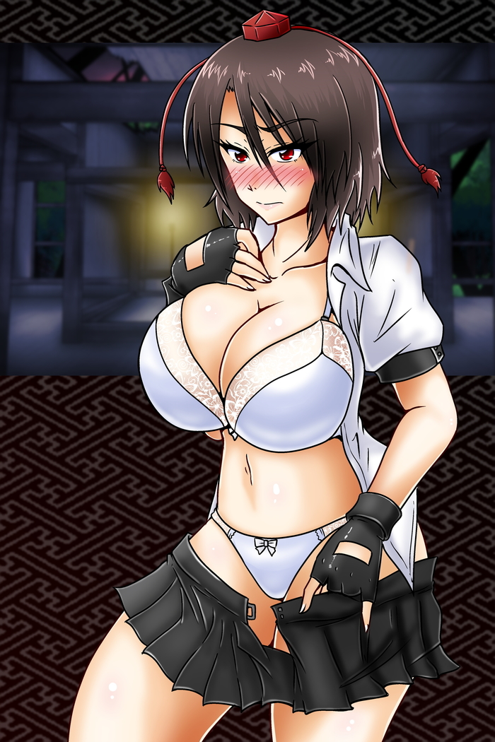 Shameimaru Aya no Hansoku