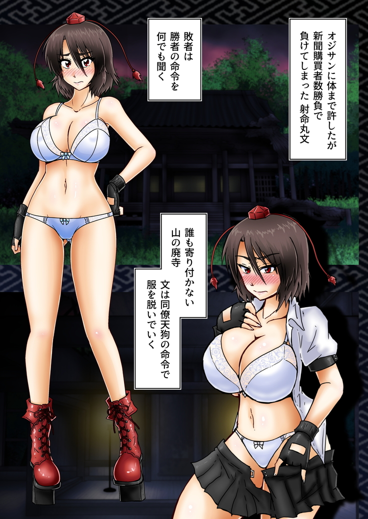 Shameimaru Aya no Hansoku