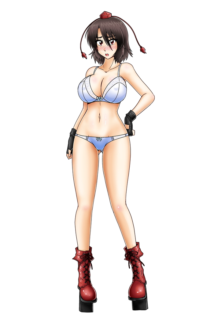 Shameimaru Aya no Hansoku