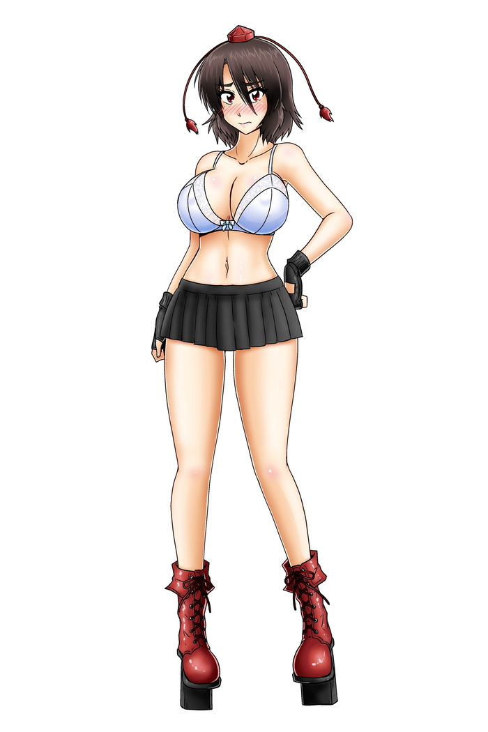 Shameimaru Aya no Hansoku